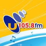 U105 - 105.8 FM